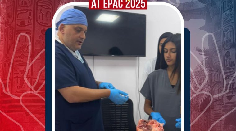 571652397_122181244808511491_576769961737837732_n