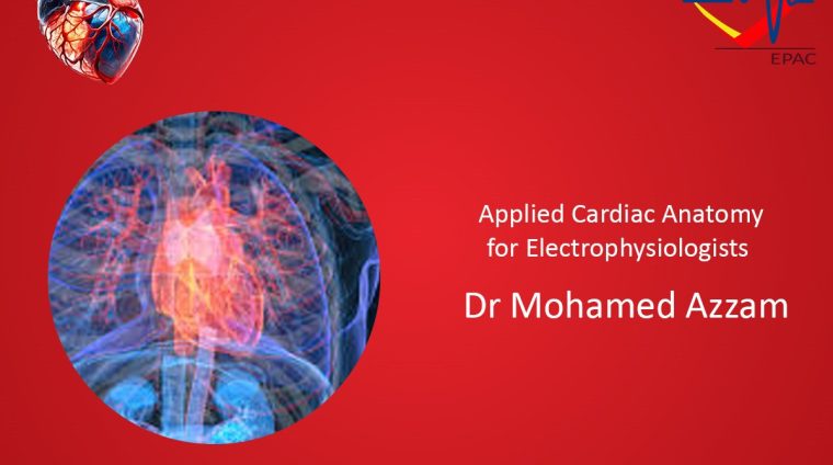 WhatsApp Image 2025-07-15 at 4.24.21 PM (1)