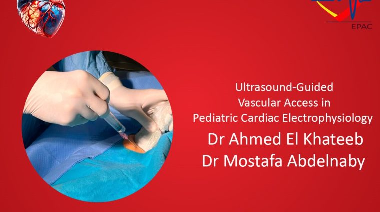 WhatsApp Image 2025-07-15 at 4.24.21 PM