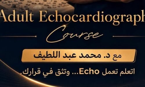 الصورة المصغرة للدورة